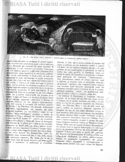 n. 3-4 (1884) - Pagina: 33