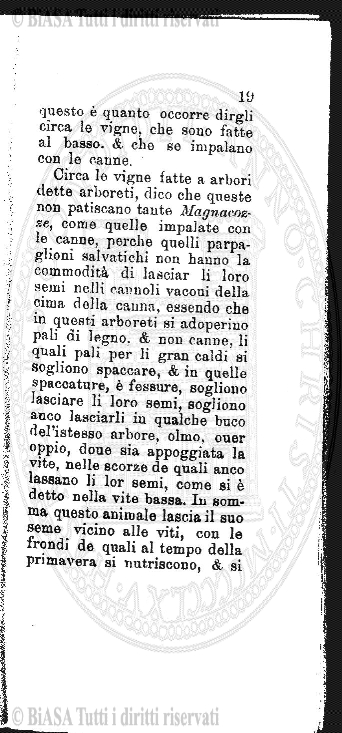 v. 13, n. 1-2 (1890) - Copertina: 1