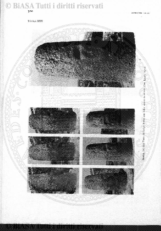 v. 15, n. 32 (1848-1849) - Pagina: 249