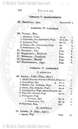 s. 3, n. 17 (1894) - Pagina: 257