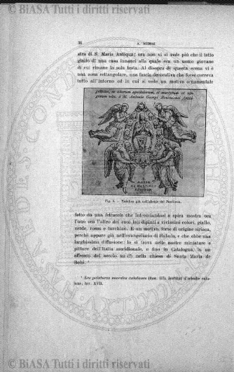 n. 8-10 (1905) - Copertina: 1