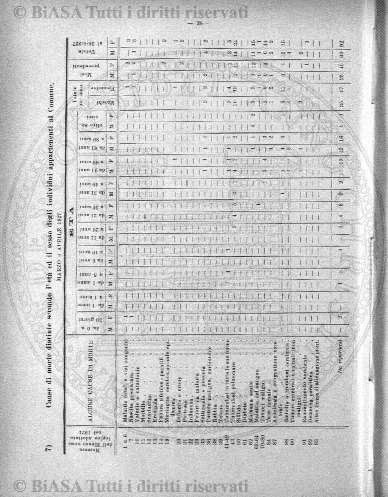 n. 33 (1896) - Frontespizio