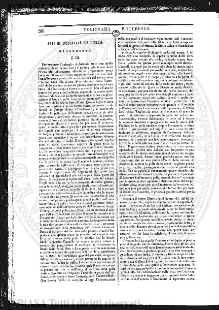 n.s., n. 104 (1856-1857) - Pagina: 41