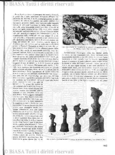 n. 10-11 (1882) - Pagina: 173