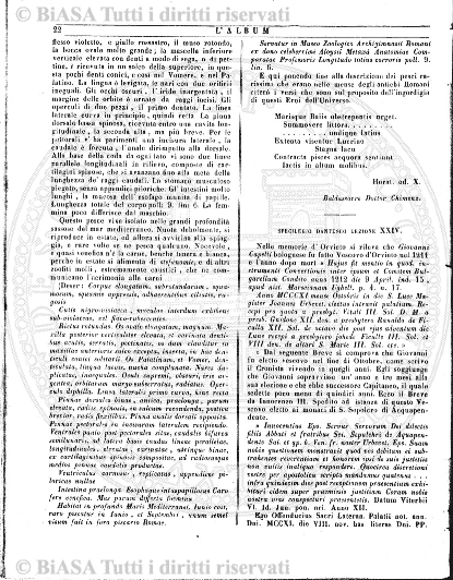 n. 38 (1787) - Pagina: 295