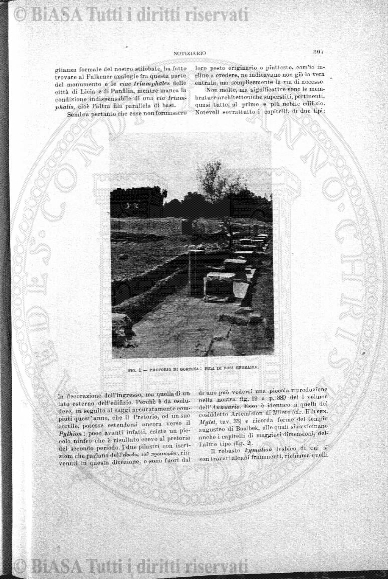 n. 30 (1787) - Pagina: 231