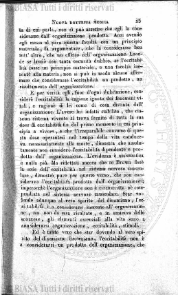n. 8 (1904) - Copertina: 1 e sommario