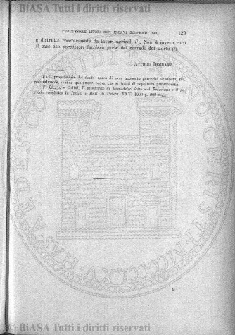 n. 11 (1903) - Frontespizio