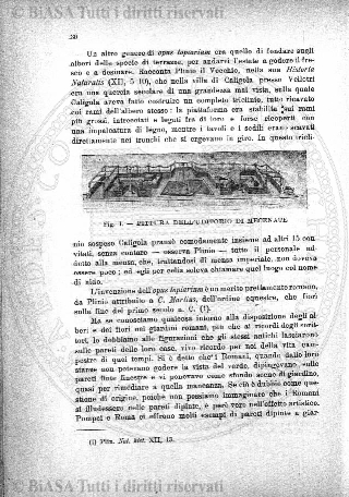 n. 35 (1886) - Frontespizio