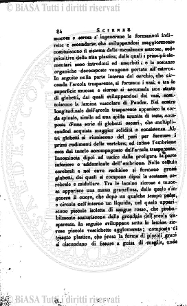 n. 33 (1893) - Frontespizio