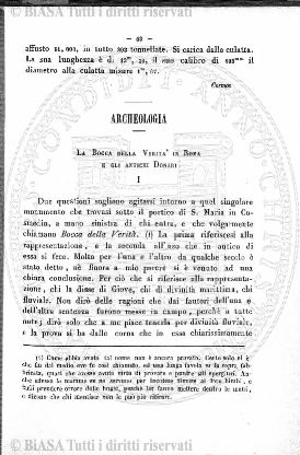 n. 11 (1890-1891) - Copertina: 1