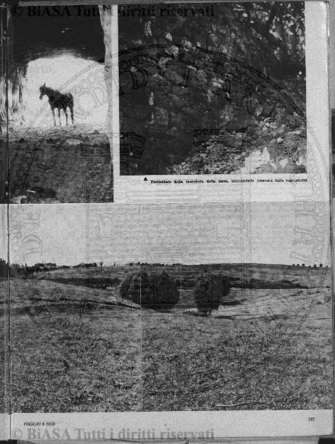 n. 2 (1913) - Pagina: 37