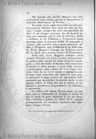 n. 5 (1878) - Pagina: 417