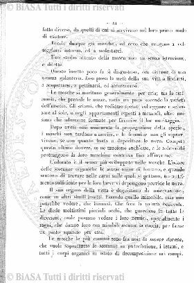 n.s., v. 156, n. 10 (1858) - Frontespizio