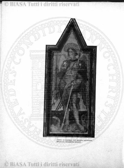 v. 22, n. 30 (1855-1856) - Pagina: 233