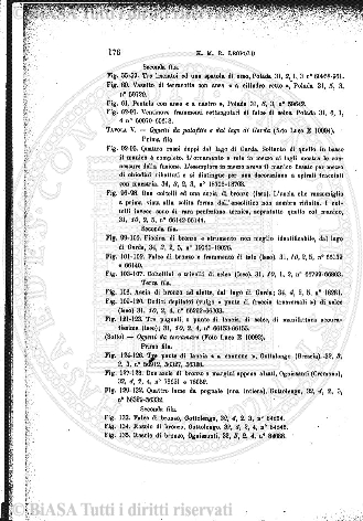 n. 1 (1835) - Copertina: 1