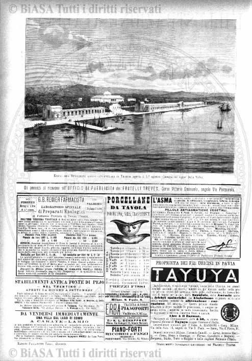 n. 3 (1831) - Pagina: 33
