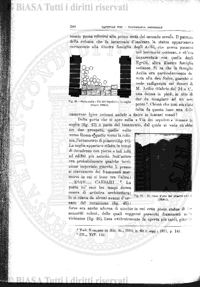 v. 11, n. 3 (1902) - Pagina: 33