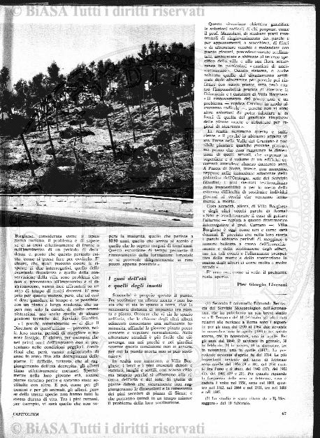 s. 4, v. 6, parte 1 (1889) - Frontespizio