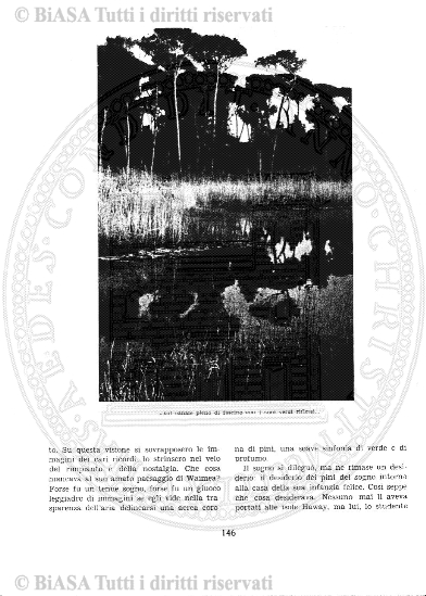 n. 9 (1916) - Copertina: 1