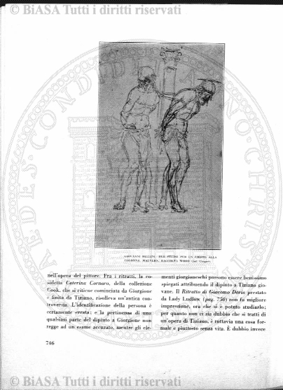 n. 13 (1834) - Pagina: 49