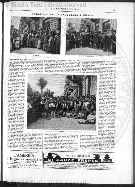 s. 3, n. 14 (1893) - Pagina: 209