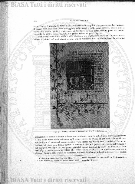 n. 39 (1787) - Pagina: 303