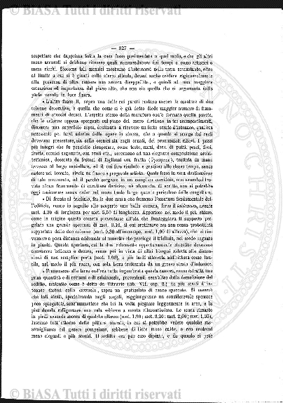 1895-96 (1895-1896) - Copertina: 1