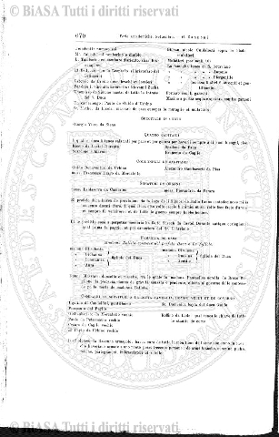 s. 3, v. 7, n. 10-12 (1901) - Pagina: 217