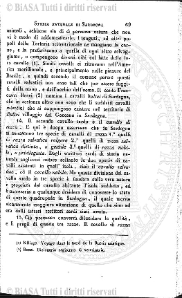 n. 6 (1921) - Pagina: 41