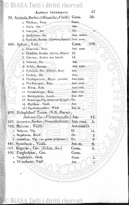 n. 13 (1785) - Pagina: 97