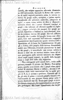 n. 3 (1921) - Copertina: 1