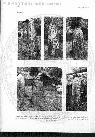 v. 9, n. 15 (1842-1843) - Pagina: 113