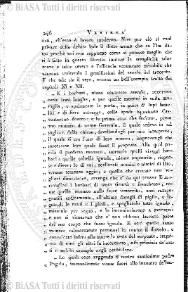 s. 2, n. 5 (1890-1891) - Pagina: 97
