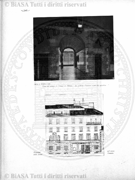 n. 2 (1884) - Pagina: 3