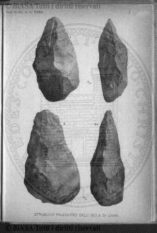 v. 12, n. 71 (1900) - Copertina: 1