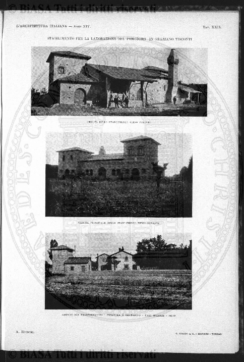 n. 50 (1900) - Frontespizio