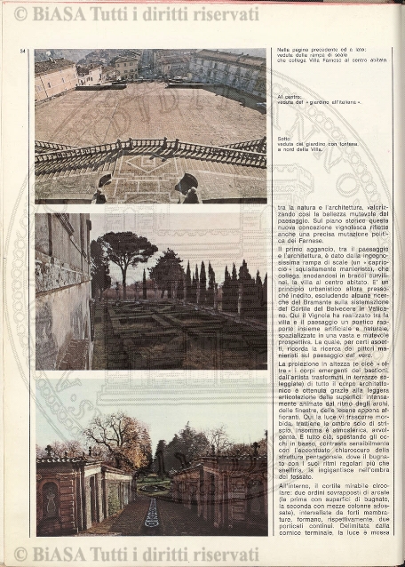 s. 2, n. 3 (1890-1891) - Pagina: 49