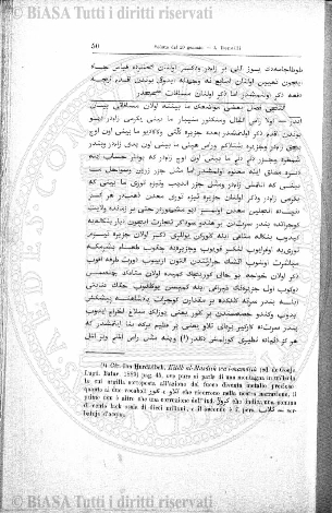 n. 4 (1878) - Pagina: 7