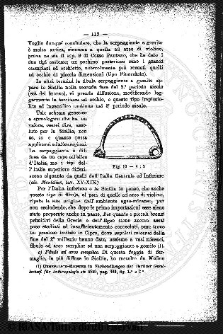 n.s., n. 168 (1858-1859) - Pagina: 137