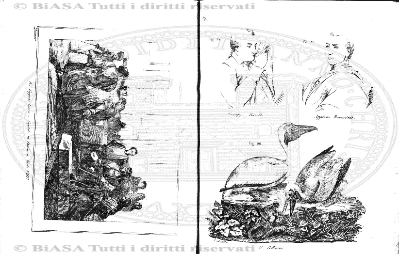 v. 9, n. 6 (1900) - Pagina: 81