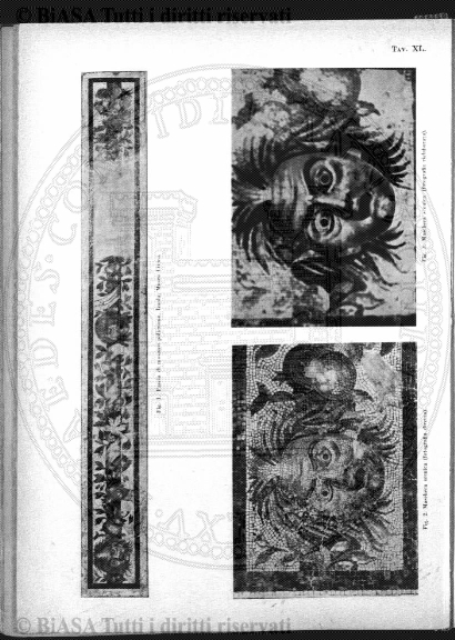 v. 18, n. 44 (1851-1852) - Pagina: 345