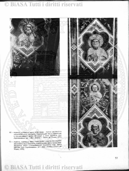 v. 35 (1907) - Frontespizio