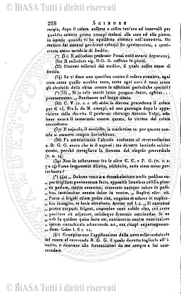 n. 11 (1902) - Pagina: 531