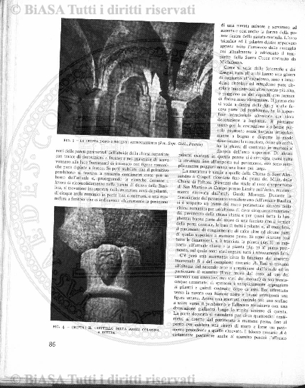 n. 7 (1889) - Pagina: 13