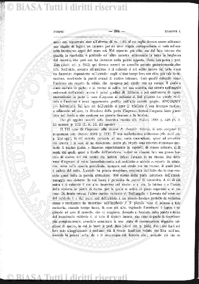 supplemento v. 1, n. 1, (1882-1883) - Pagina: 1