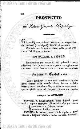 n. 6 (1924) - Copertina: 1