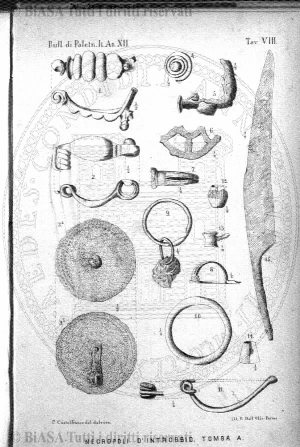 n. 10 (1884) - Pagina: 19