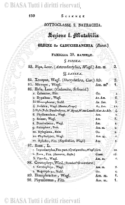 n. 10-11-12 (1921) - Copertina: 1