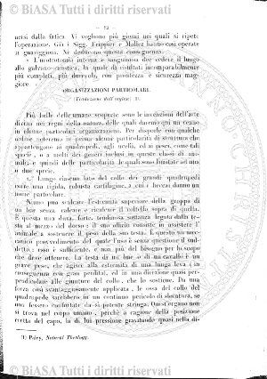 v. 7, n. 31 (1780-1781) - Pagina: 241